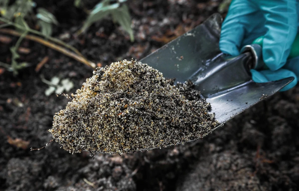 How to Prepare Soil for Planting: The Ultimate Spring Garden Guide